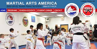 Image result for Martial Arts New Jersey