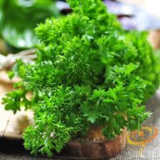 Image result for Epsom Z-Tri