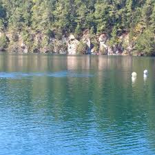 Image result for Richmond Sub-Aqua Club