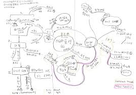 Image result for マインドマップ