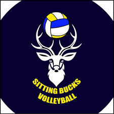 Image result for British Airways Volleyball Club