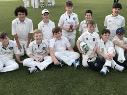 Image result for Salfords Cricket Club