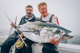 Image result for giant tuna