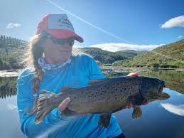 Image result for Petrus rupestris