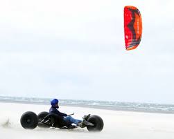 Image result for Baiter Power Kite