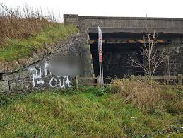 Image result for Ballymena Vandals