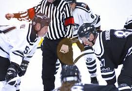 Image result for Streatham Night Wolves Ice Hockey Team