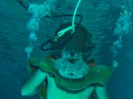 Image result for Surrey Aquanauts B S A C 0689
