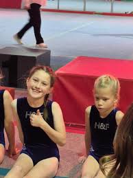 Image result for Holbeach and Fenland Gymnastics Club