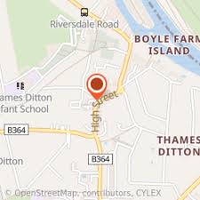Image result for Thames Ditton Schools Fc