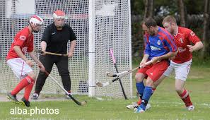 Image result for Ballachulish Shinty Club