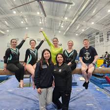 Image result for Holbeach and Fenland Gymnastics Club