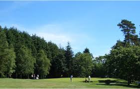Image result for Launceston Golf Club