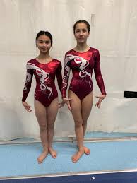 Image result for Cheam Girls Gc