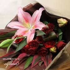 「花薔薇エルフ」の画像検索結果