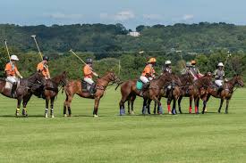 Image result for Taunton Vale Polo Club