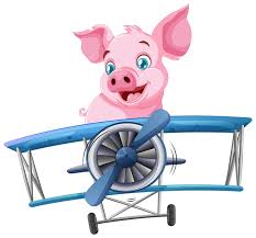 Image result for flying pigs