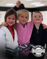 Image result for Bushido Academy Of Martial Arts (Bama)