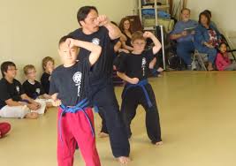 Image result for United Sport Karate