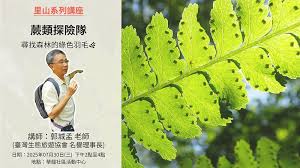 「綠羽毛」的圖片搜尋結果