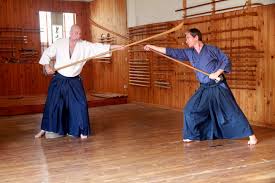 Image result for Ellis Schools of Traditional Aikido