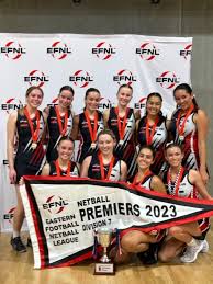 Image result for Waverley Netball Club