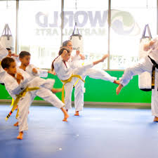 Image result for Bristol Taekwondo School