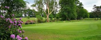 Image result for Brokenhurst Manor Golf Club