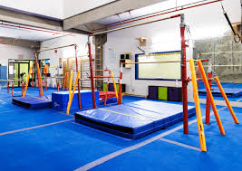 Image result for Pegasus Trampoline Club