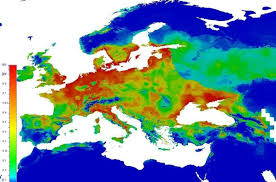 Attēlu rezultāti vaicājumam “Anchomenus dorsalis”