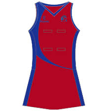 Image result for Harriers Netball Club