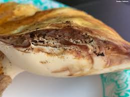 Attēlu rezultāti vaicājumam “Buglossoporus quercinus”