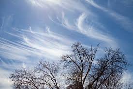 Attēlu rezultāti vaicājumam “Cirrus fibratus”
