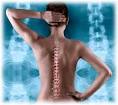 Chiropractic
