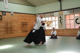 Image result for Kokyu Aikido Association