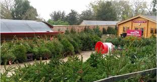 Image result for Stroud Hockey Club