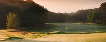 Image result for Brokenhurst Manor Golf Club