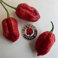 Afbeeldingsresultaat voor 7 pot hot pepper
