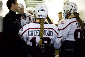 Image result for Reddish Green Ladies Hockey Club