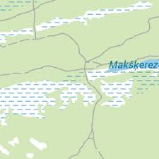 Attēlu rezultāti vaicājumam “Eurydema dominulus imago”