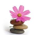 Bioidentical Hormone Replacement Therapy | DrEllsworths.