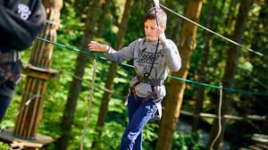 Image result for Go Ape! Alice Holt