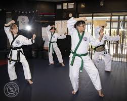 Image result for Martial Arts Karate Mesa AZ
