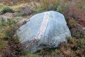 Image result for example