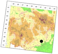 Attēlu rezultāti vaicājumam “Bembidion litorale”