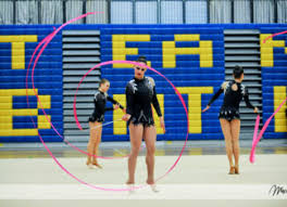 Image result for Merseyside Rhythmic Gymnastics Club