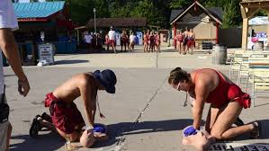 Image result for Dover Lifeguard Sc