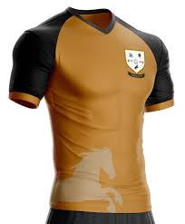 Image result for Ashtead Football Club