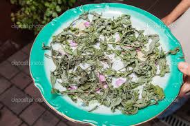 Attēlu rezultāti vaicājumam “Cirsium oleraceum leaf”