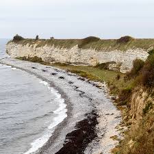 Image result for stevns klint